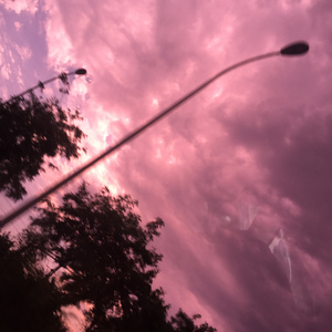 中国人激烈吮乳吃奶头
